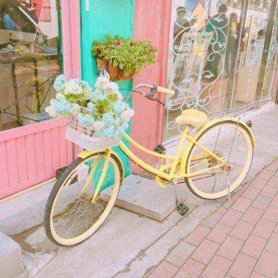 彩信平台官网下载手机版截图