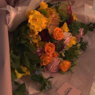 博鱼综合体育在线登录入口