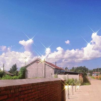 B体育·(sports)官方网站