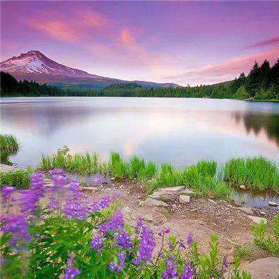 乐鱼竞彩官网下载手机版