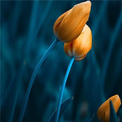 澳门网上黄金城app下载