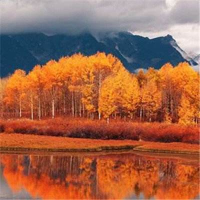 乐动体育app官网入口